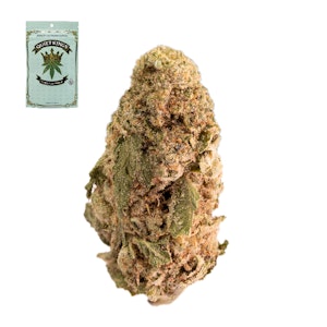 Quiet kings - GELATO 33