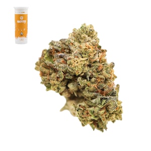 Honeycomb farms - GSC X PURPLE HASHPLANT 14G