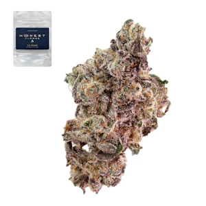 Honest flower - JEALOUS DRIVER