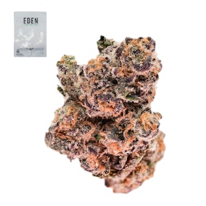 Eden - DBZ 14G