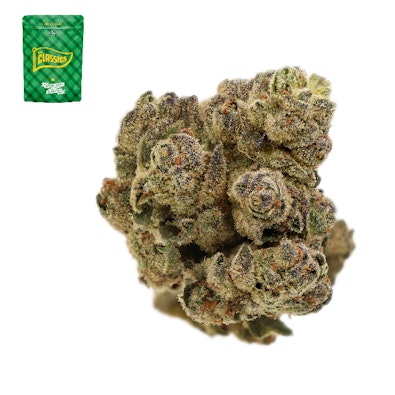 CHEETAH PISS 14G