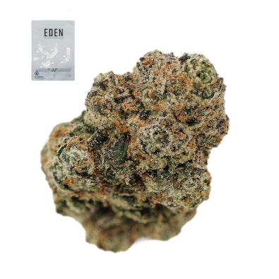 RAINBOW RUNTZ 14G