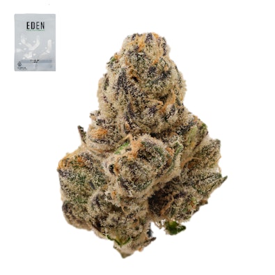 DURBAN MARGY 14G