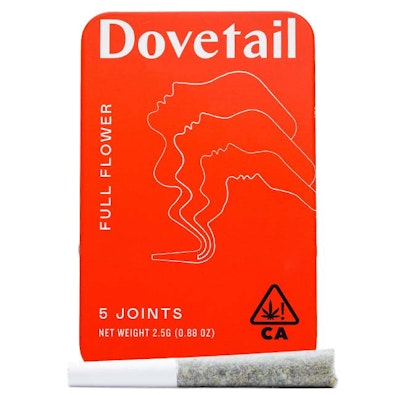 GOVERNMINT OASIS 5-PACK