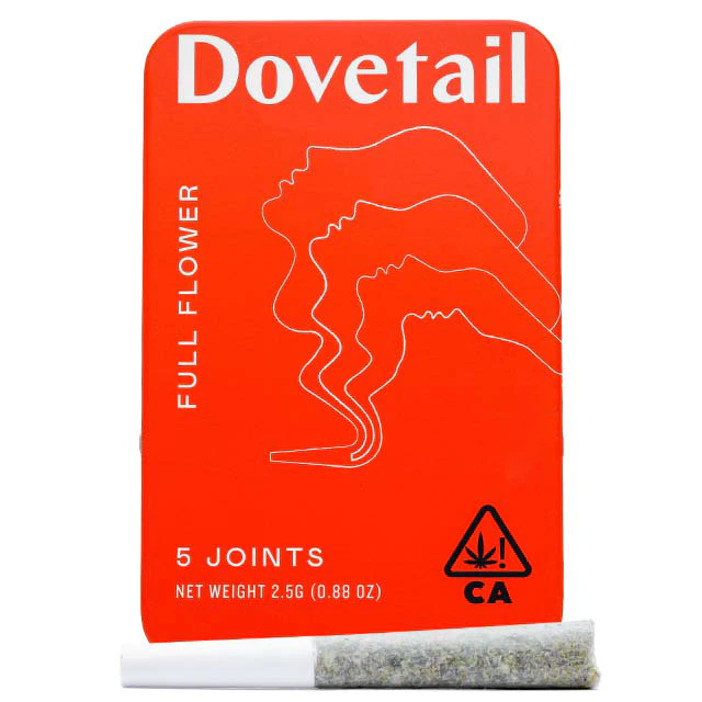 Dovetail - GOVERNMINT OASIS 5-PACK Main Image