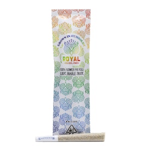 Royal budline - BISCOTTI