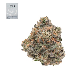 Eden - PURPLE CHEM 14G