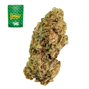 The classics - LEMON TREE 14G