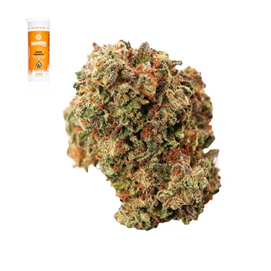 WHITE RHINO 14G