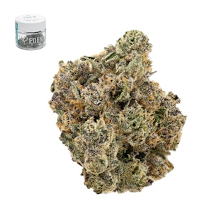 Eden - OAKLAND LCG #13