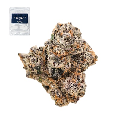 GELATO 33 BX1 14G