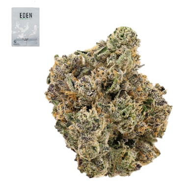 OAKLAND LCG #13 14G