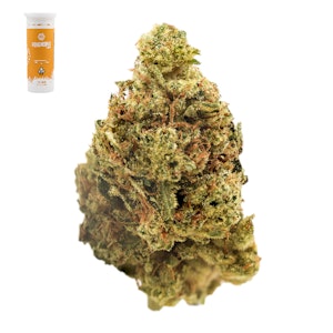 Honeycomb farms - HEADBAND 14G