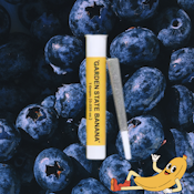 BLUEBERRY BANANA | PREROLL | 1G