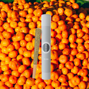 PREROLL | MANDARIN Z | 1G