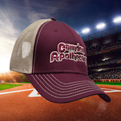 SNAPBACK | BASEBALL PARODY
