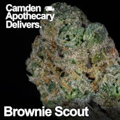 BROWNIE SCOUT