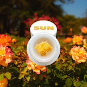 BADDER | THUG ROZE | LIVE RESIN | 1G