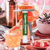 PREROLL | PALOMA SPRITZ | 2-PACK | 1G