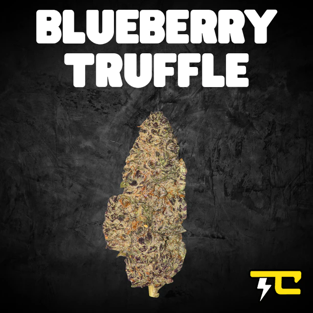 Thunder canna - BLUEBERRY TRUFFLE 14G Main Image