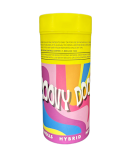 Thunder canna - PINEAPPLE KUSH - GROOVY 14-PACK 1GPR