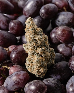 Glacier cannabis - MEMBER BERRY 3.5G PRE PACK