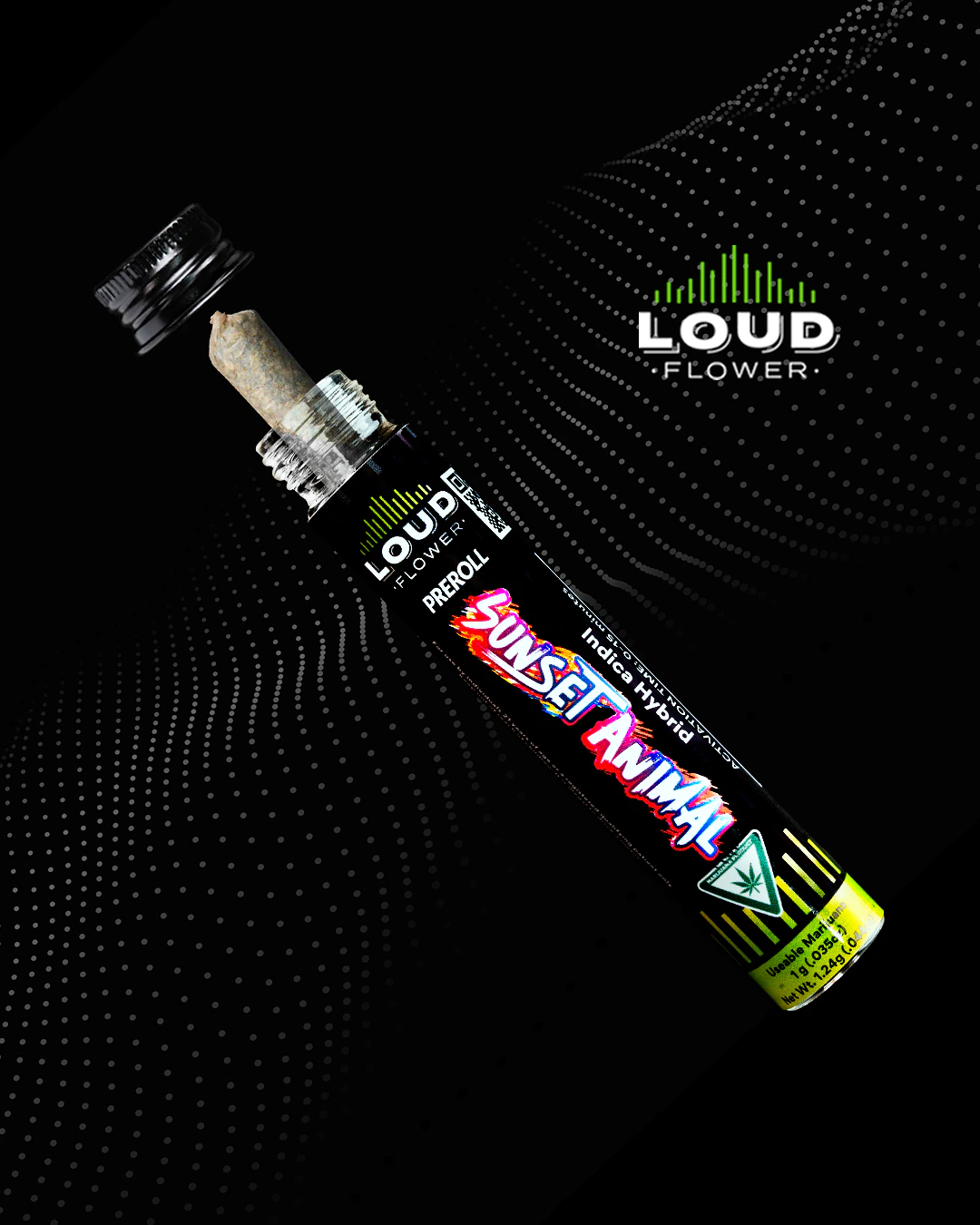 Mi loud - SUNSET ANIMAL 1G. PRE ROLL Main Image