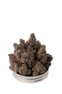 Goldkine - RUM CAKES #4 14G