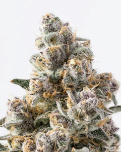 Glacier - SUPER BOOF 14G