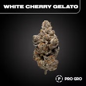 WHITE CHERRY GELATO 14G