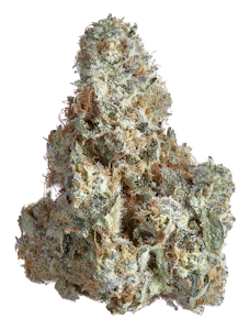 Goldkine - ANIMAL TREE 14G