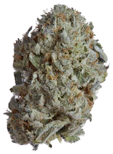 Goldkine - HEAD HUNTER 14G