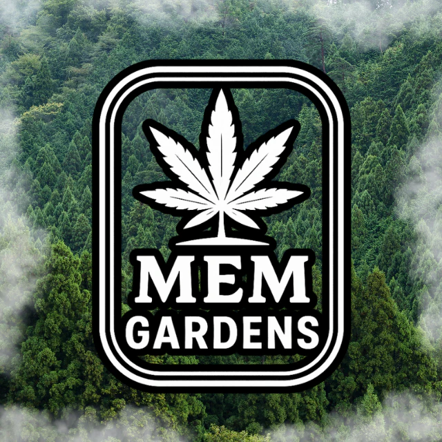 Mem gardens - BLACK CHERRY GAS Main Image