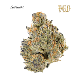 Pablo - GARLICANE 3.5G PRE PACK