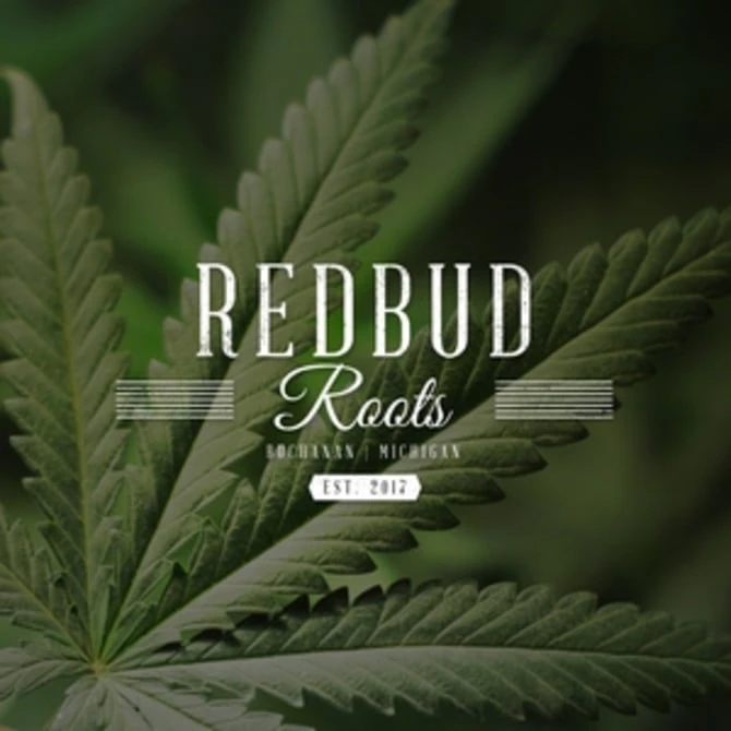 Redbud roots - SHERB CREAM PIE 14G Main Image
