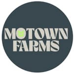 Motown farmers - APPLEAIDE - 1.5G HASH HOLE