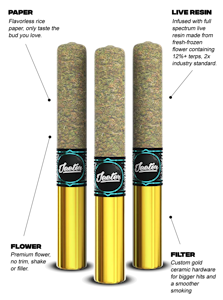 Jeeter - AMARETTO SOUR INFUSED RESIN CANNONS 0.5G X 3 PREROLLS