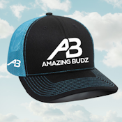 AB AQUA/BLACK EMBROIDERED HAT