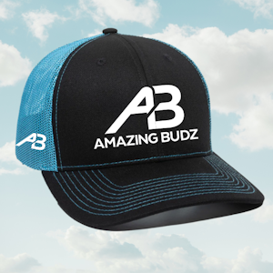 Amazing budz - AB AQUA/BLACK EMBROIDERED HAT