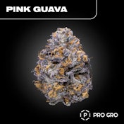 PINK GUAVA 14G