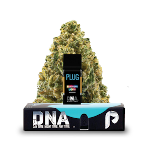 Plugplay - 1G- NORTHERN LIGHTS- POD