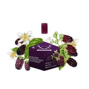 Wyld - 10CT- BOYSENBERRY- 1:1:1- THC:CBD:CBN- GUMMIES