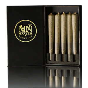 Maven - 5PK- 0.5G- ORANGE BELLINI- PREROLLS