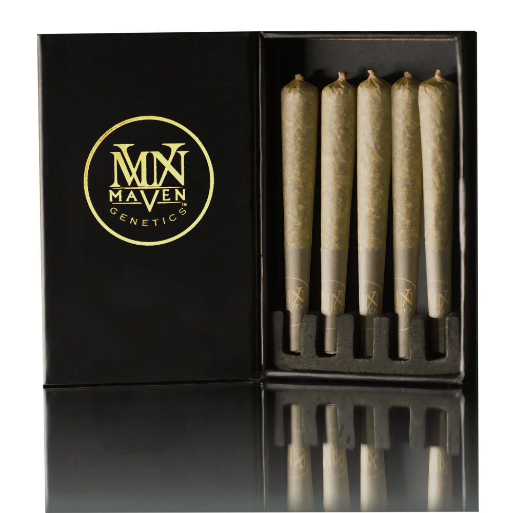 Maven - 5PK- 0.5G- ORANGE BELLINI- PREROLLS Main Image