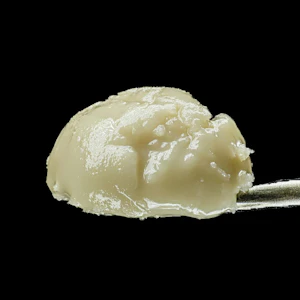 Maven - 1G- ORANGE TRUFFLE SOUFFLE- LIVE ROSIN