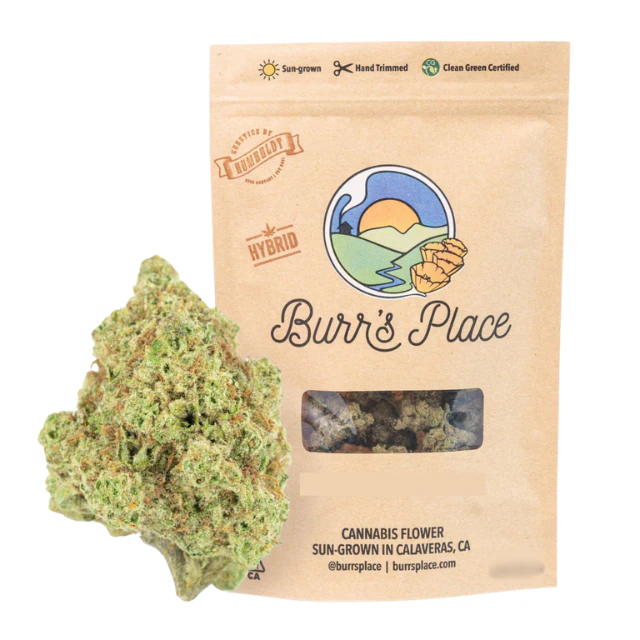 Burr's place - 1/2 OZ- ORANGE CREAMPOP- SUN GROWN Main Image