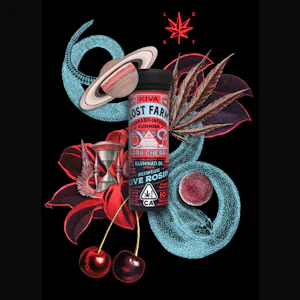 Kiva lost farm - 10CT- DARK CHERRY- ROSIN- GUMMIES