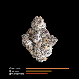 Maven - 1/8 OZ- APPLES & DIAMONDS- PREMIUM INDOOR