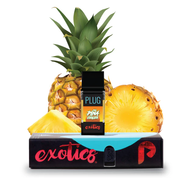 Plugplay - 1G- PINA COOLER- POD Main Image