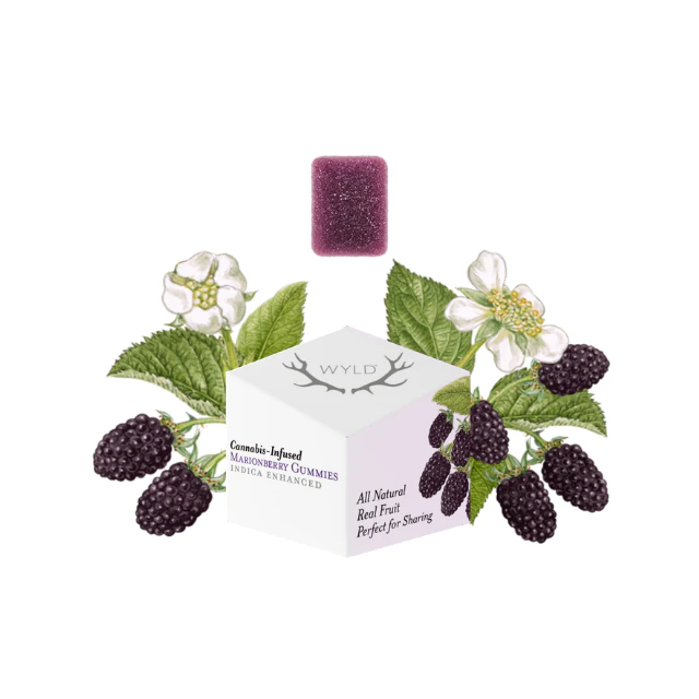 Wyld - 10CT- MARIONBERRY- GUMMIES Main Image